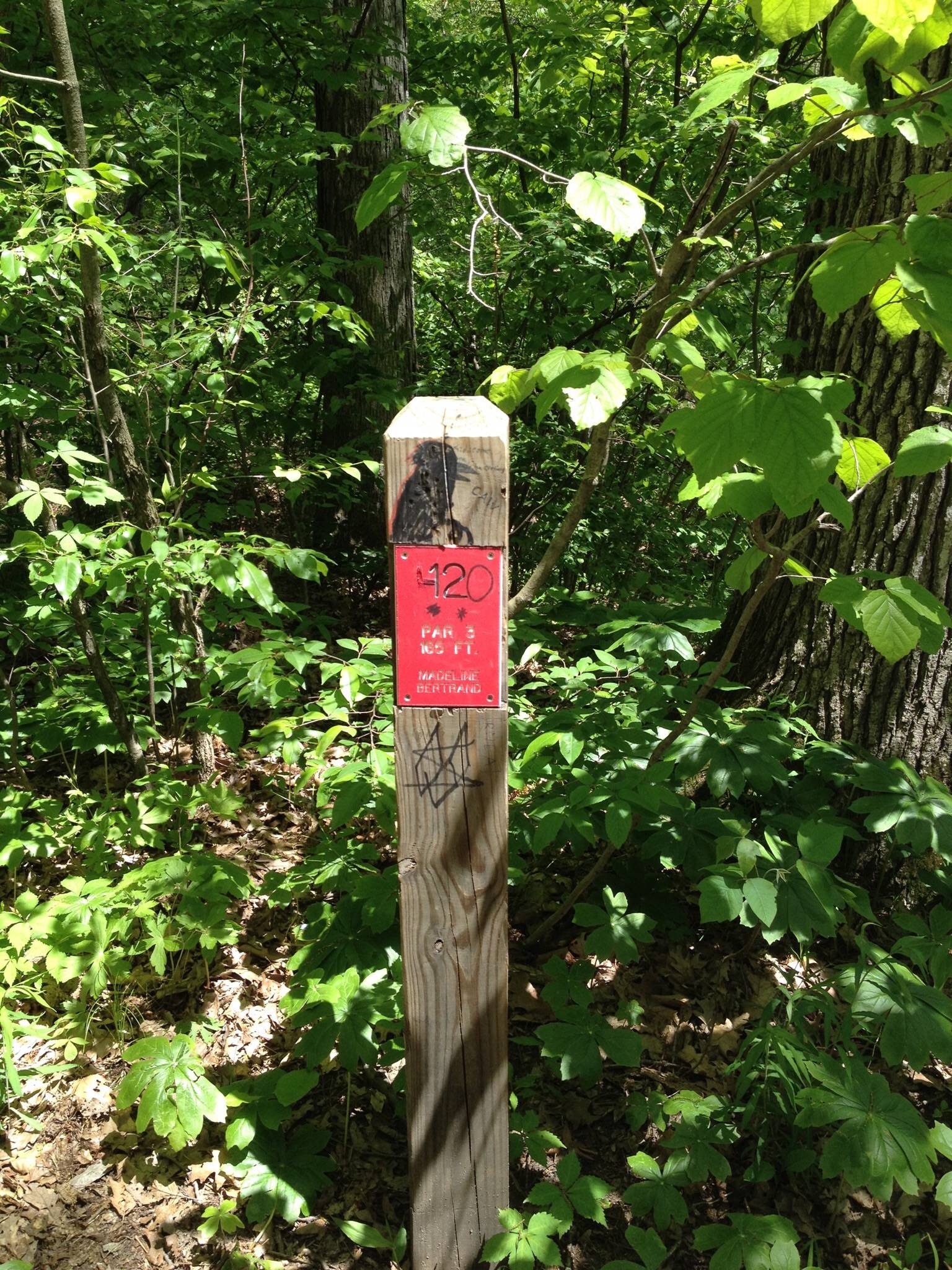 Hole 12 • Madeline Bertrand County Park (Niles, MI) Disc Golf Courses