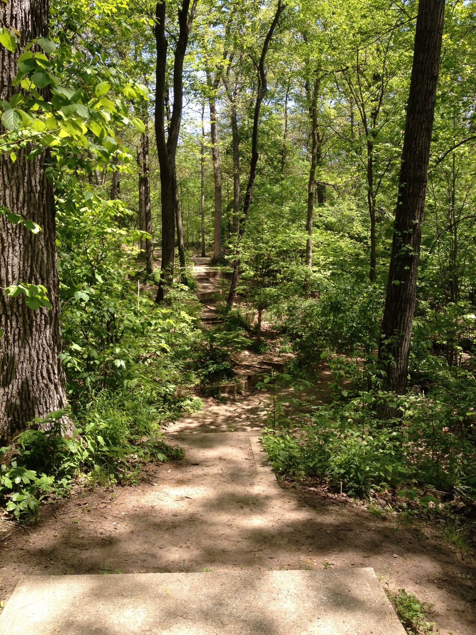 Hole 12 • Madeline Bertrand County Park (Niles, MI) Disc Golf Courses