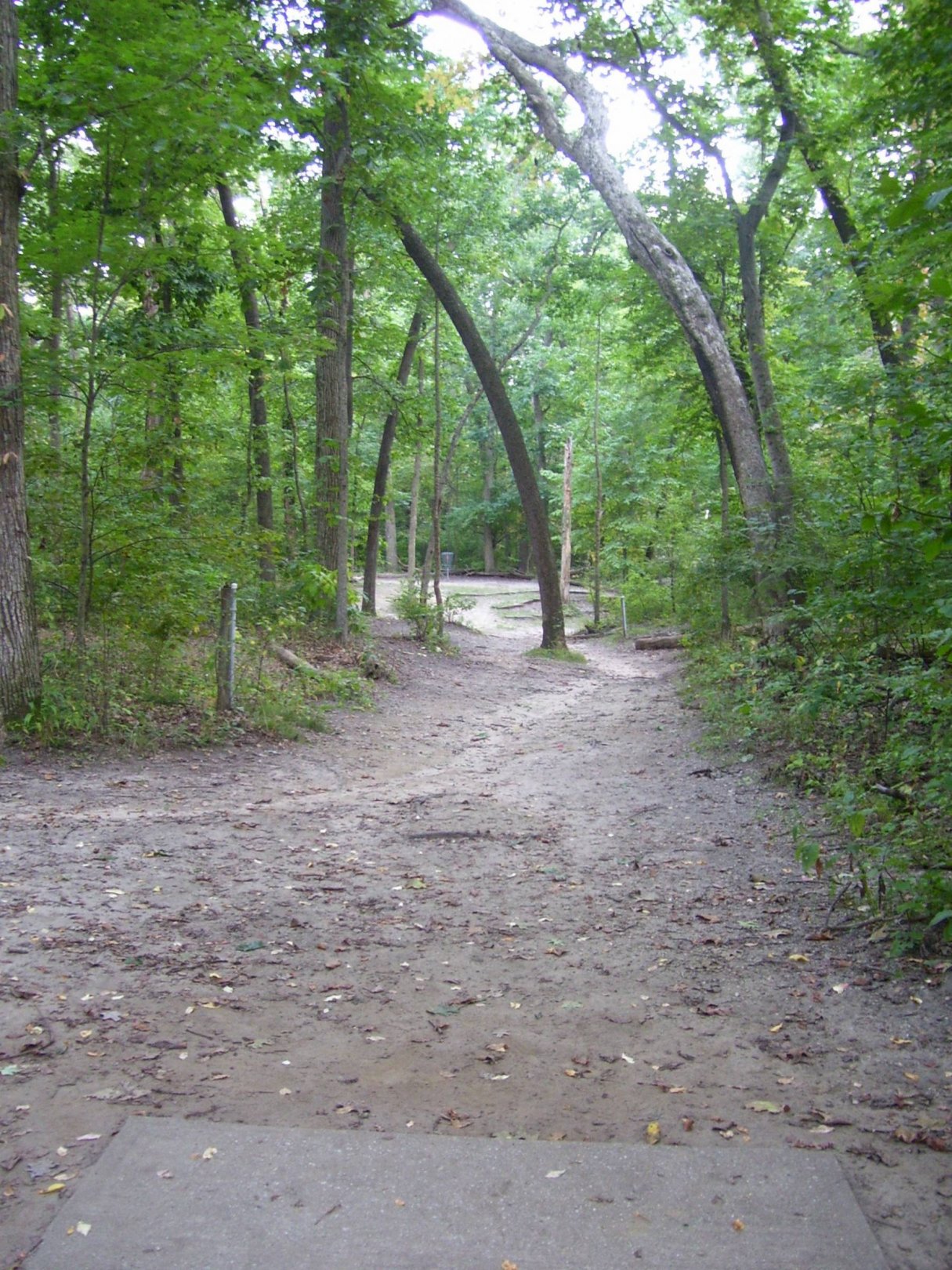 Hole 10 • Madeline Bertrand County Park (Niles, MI) Disc Golf Courses