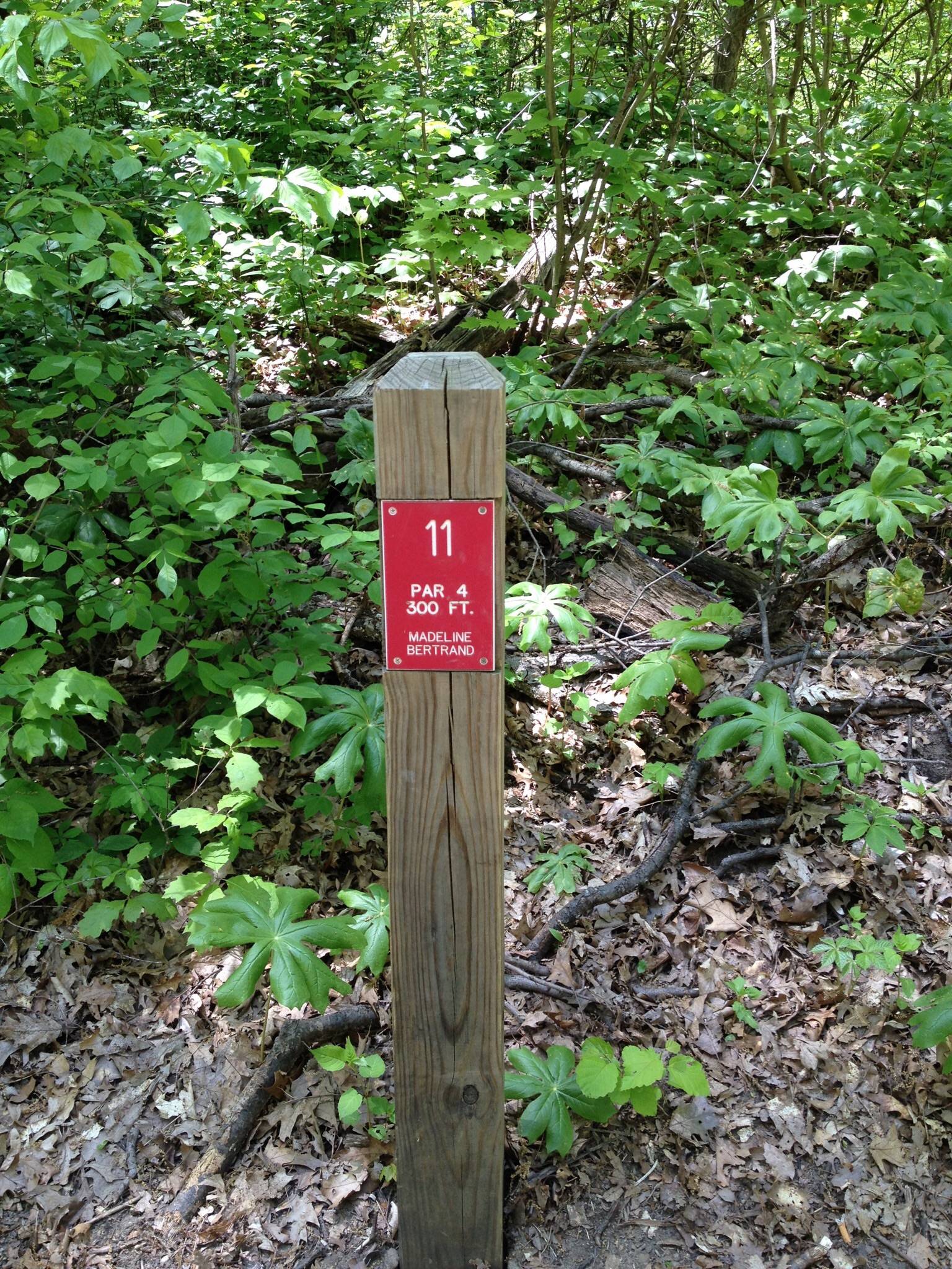 Hole 11 • Madeline Bertrand County Park (Niles, MI) Disc Golf Courses