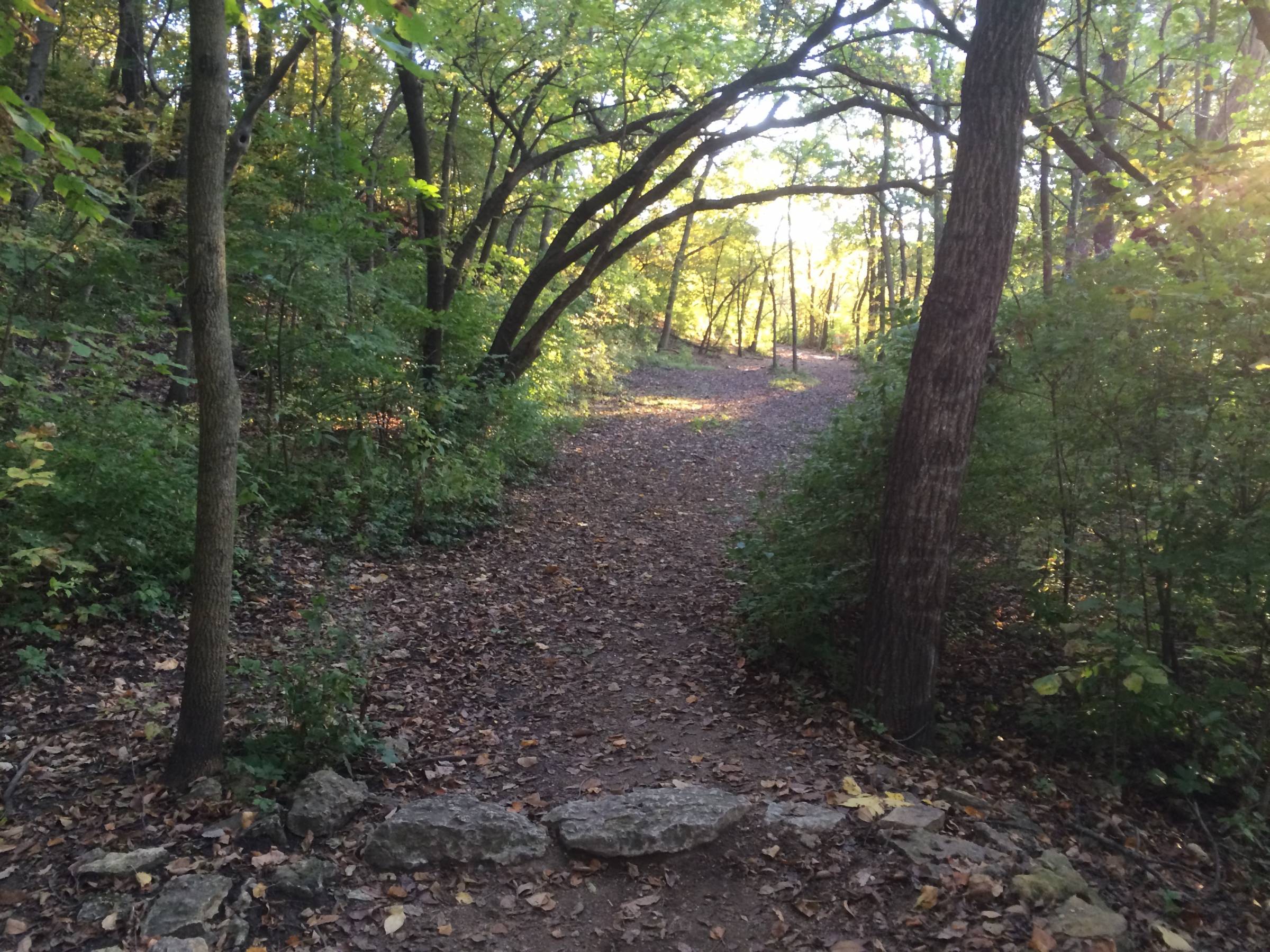 Hole 14 • Down under / Rosedale Park (Kansas City, KS) Disc Golf