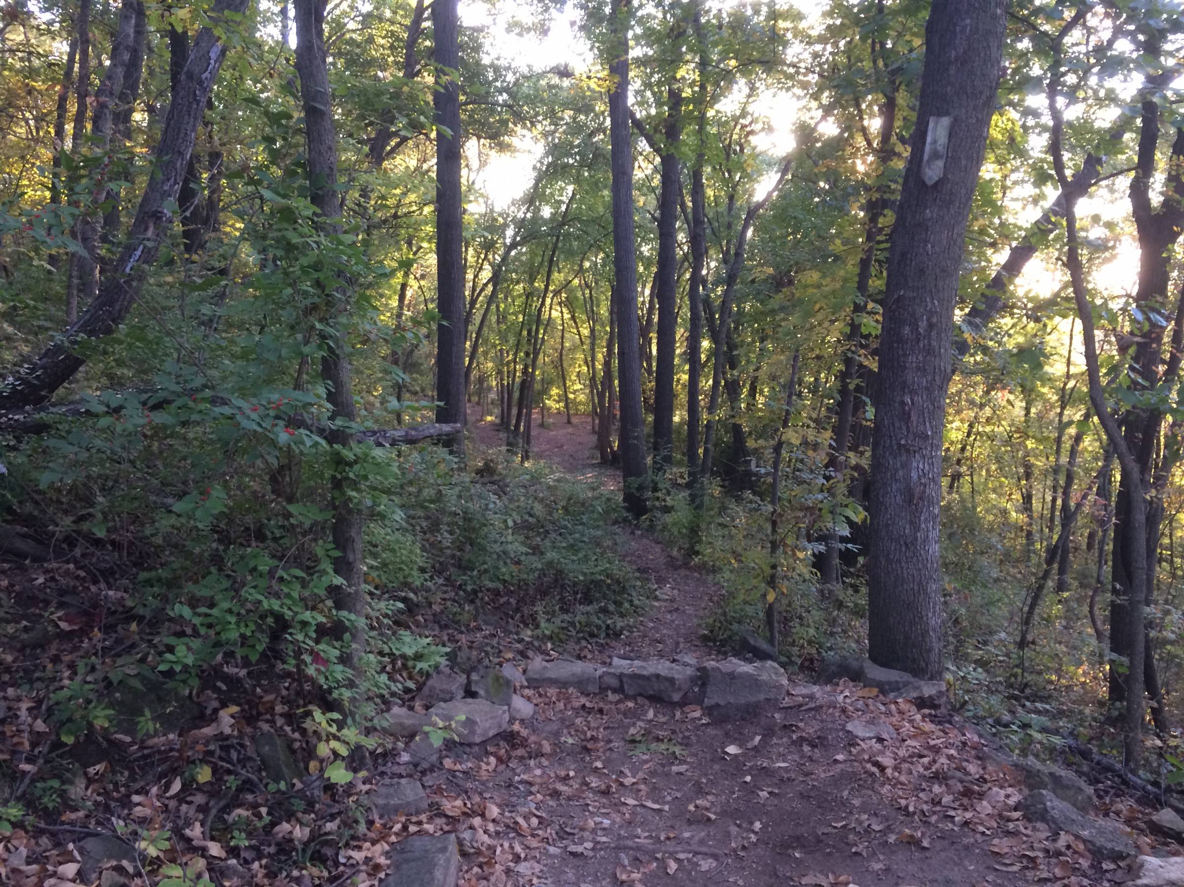 Hole 13 • Down under / Rosedale Park (Kansas City, KS) Disc Golf