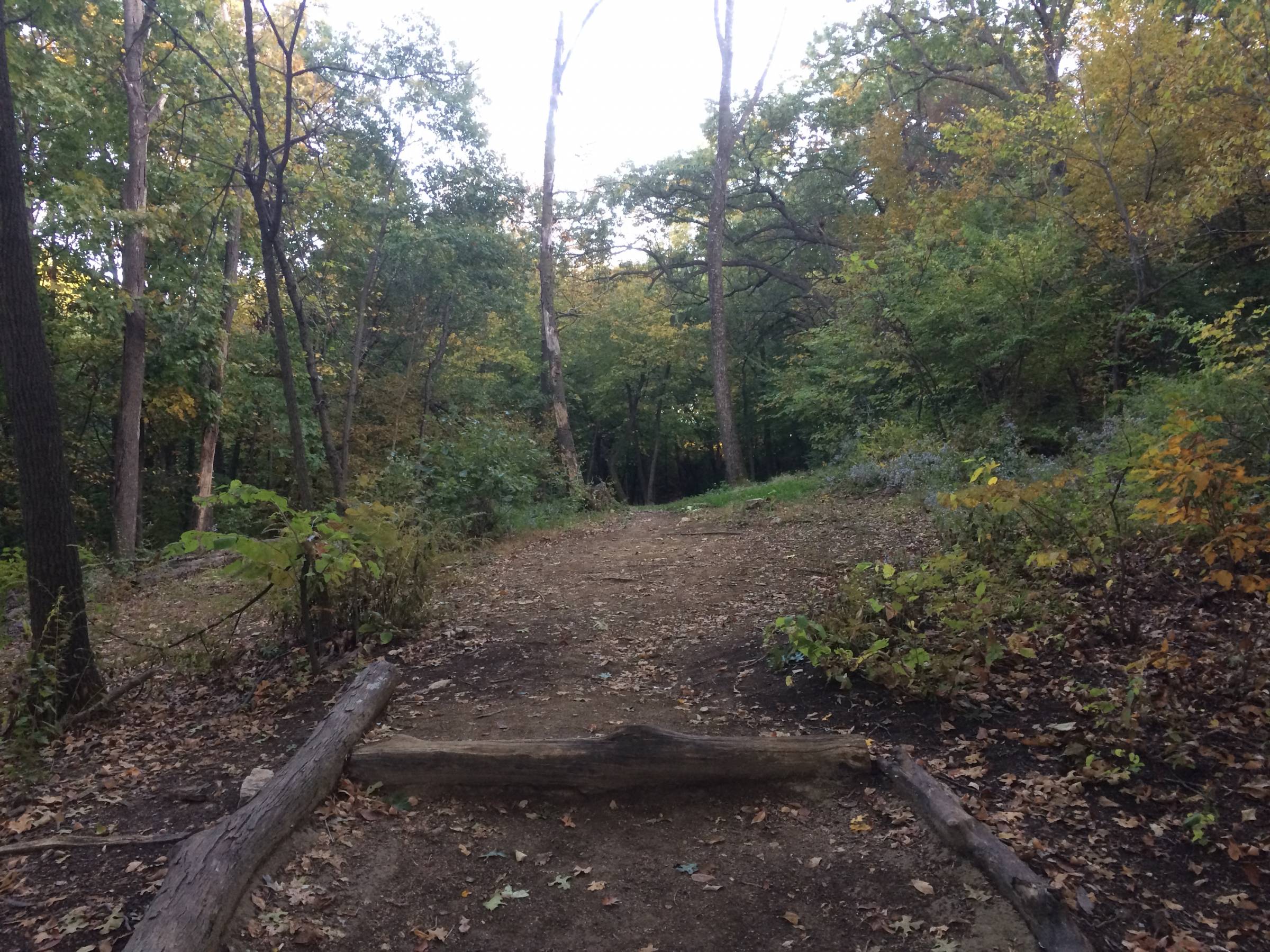 Hole 18 • Down under / Rosedale Park (Kansas City, KS) Disc Golf
