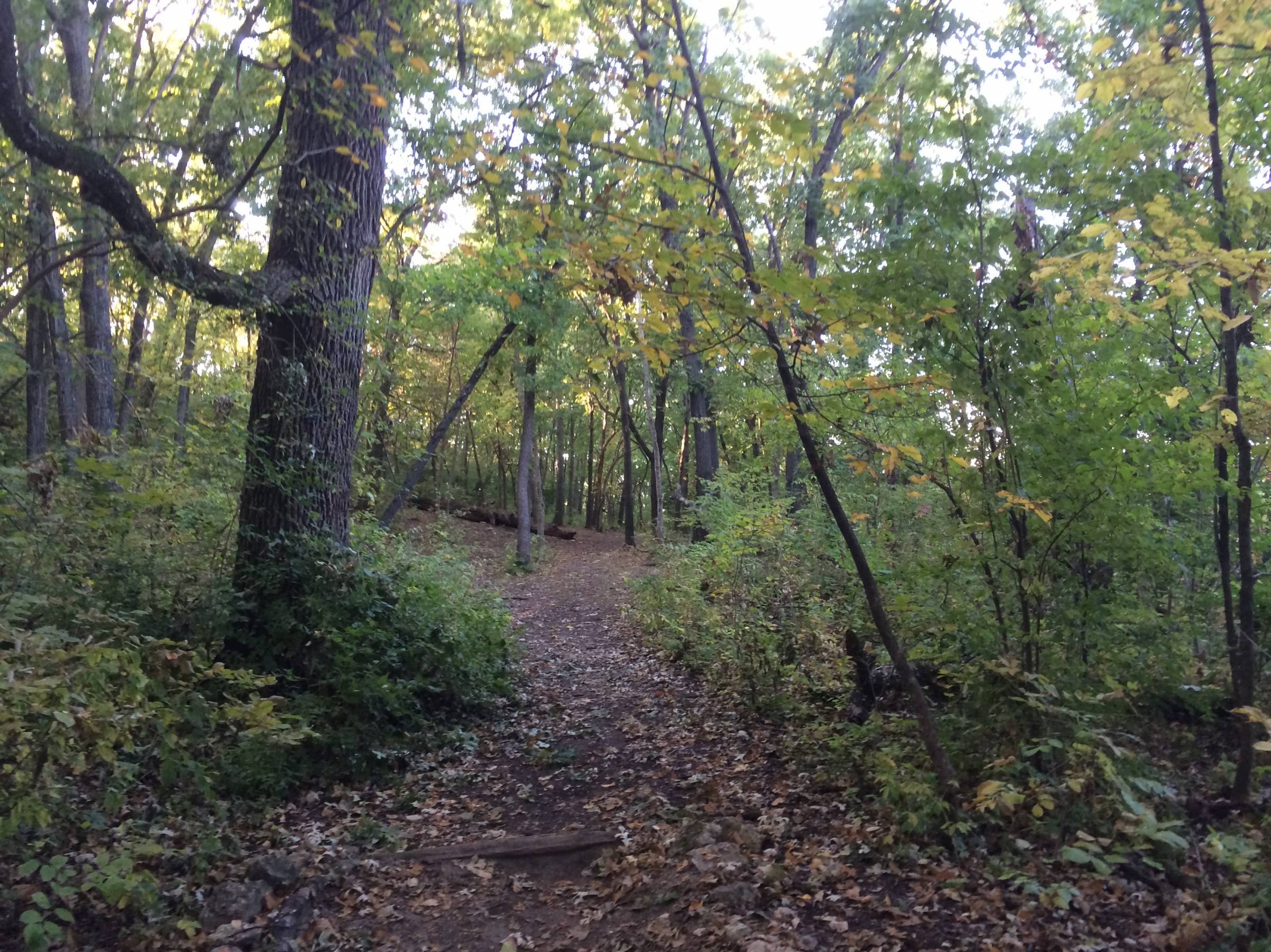 Hole 4 • Down under / Rosedale Park (Kansas City, KS) Disc Golf
