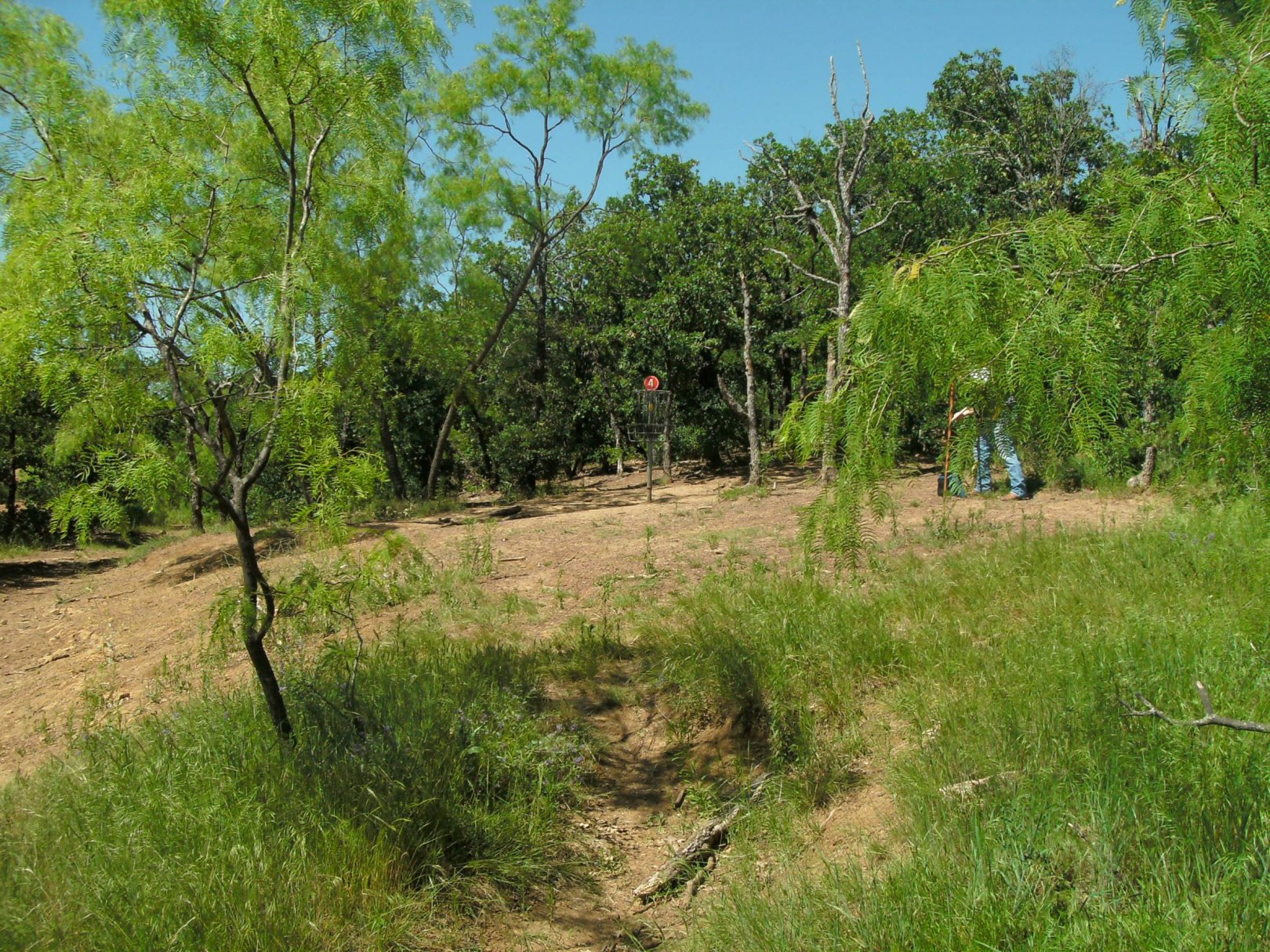 Disc Golf Arlington Tx at Janie Johnson blog