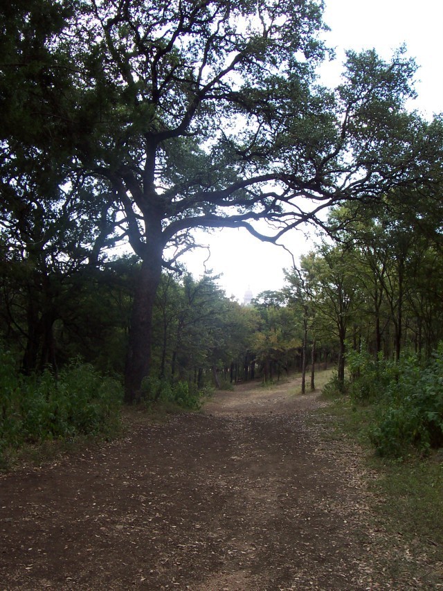 Hole 12 • Pease Park (Austin, TX) Disc Golf Courses Disc Golf Scene