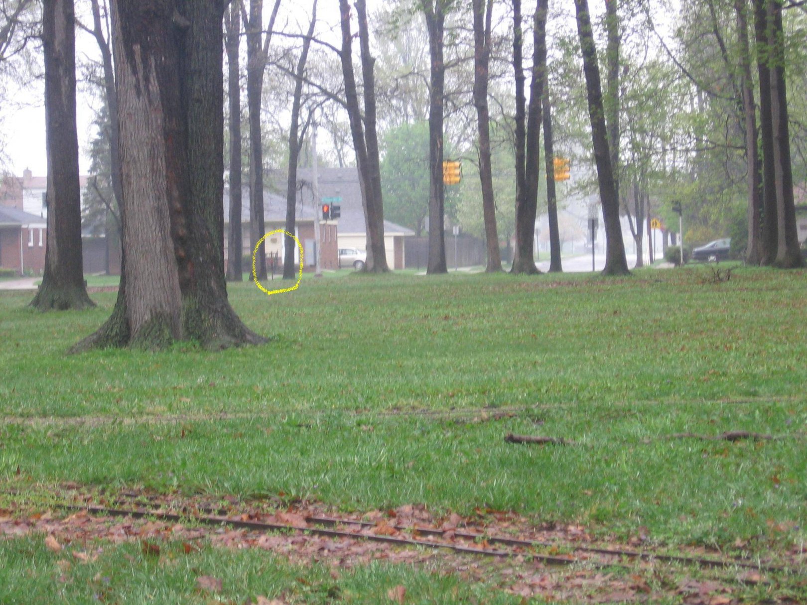 Hole 16 • StarrJaycee Park (Royal Oak, MI) Disc Golf