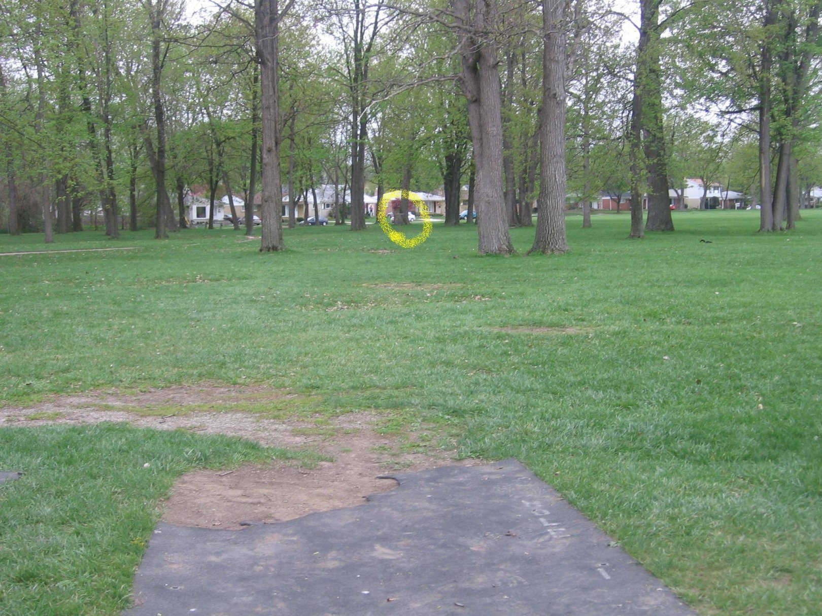 Hole 1 • StarrJaycee Park (Royal Oak, MI) Disc Golf
