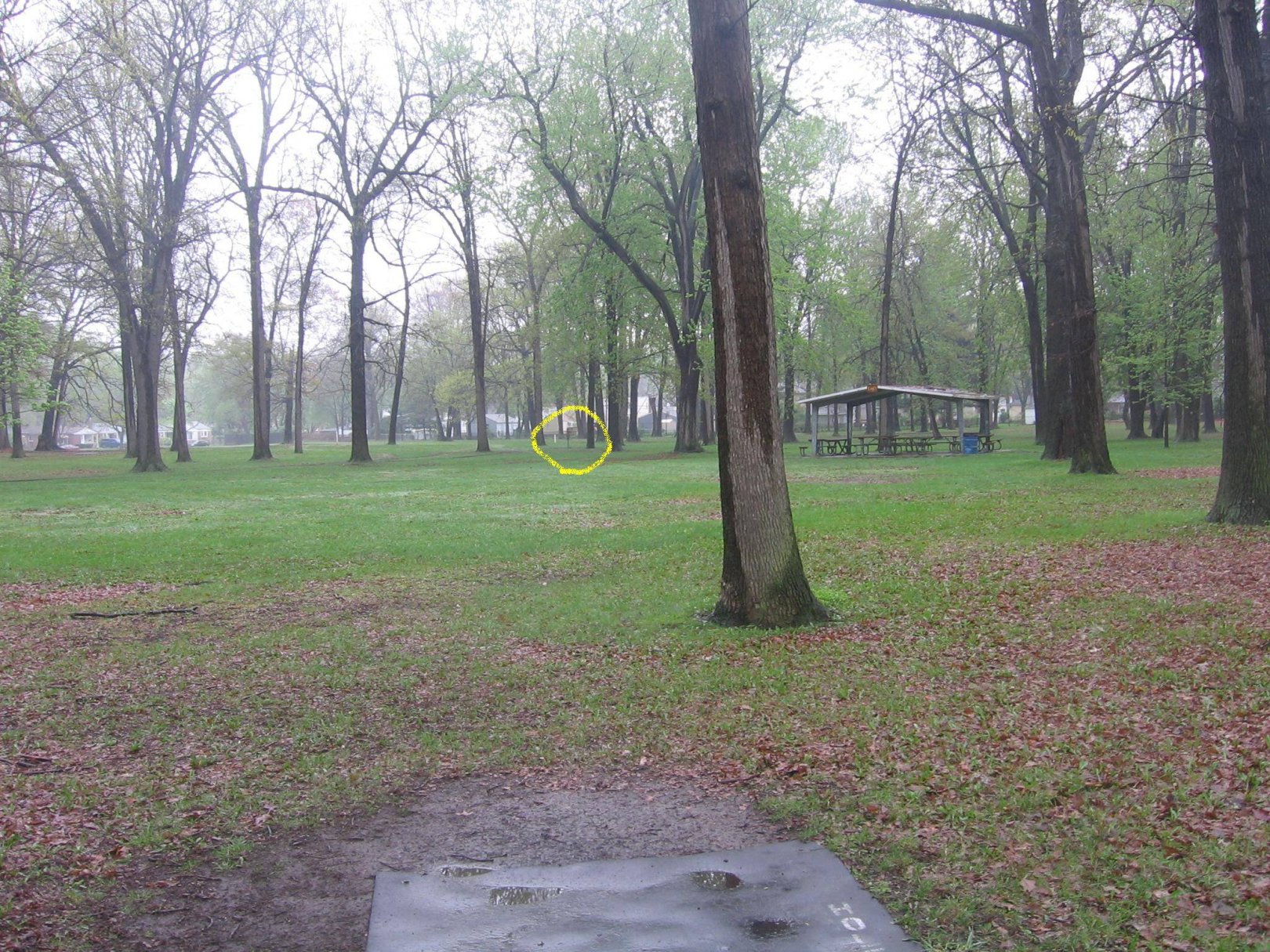 Hole 17 • StarrJaycee Park (Royal Oak, MI) Disc Golf