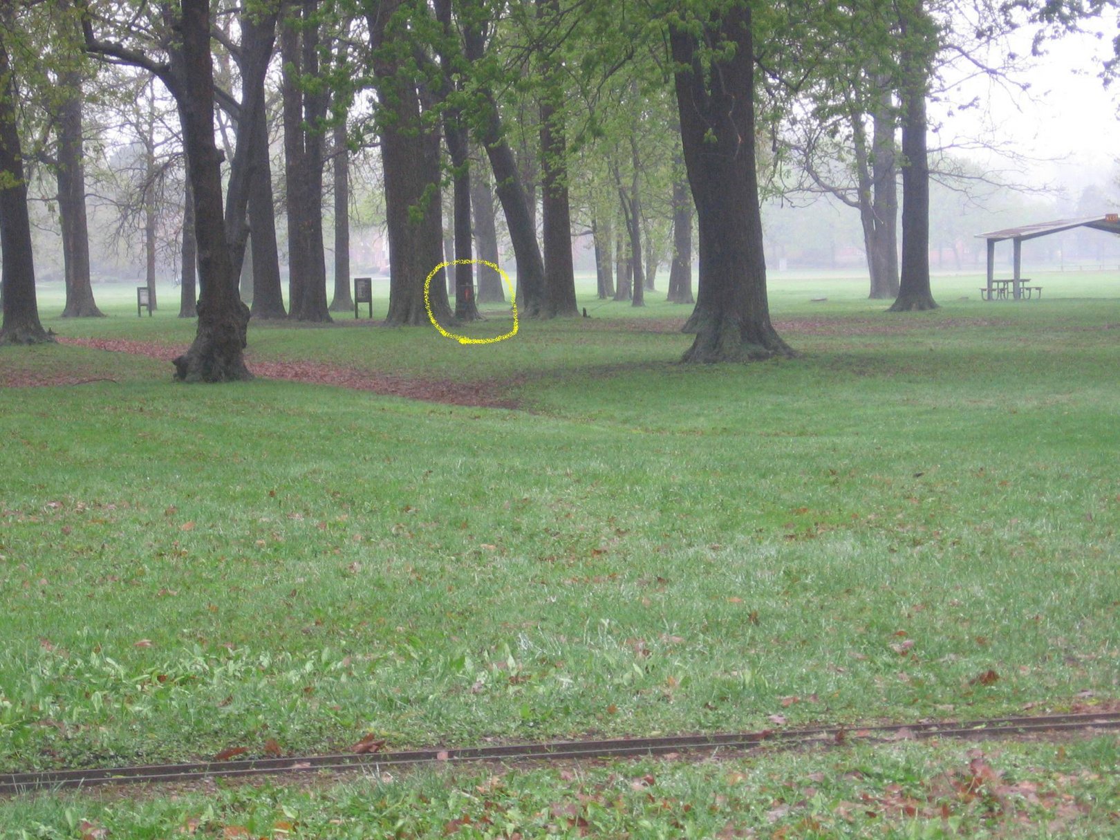 Hole 18 • StarrJaycee Park (Royal Oak, MI) Disc Golf