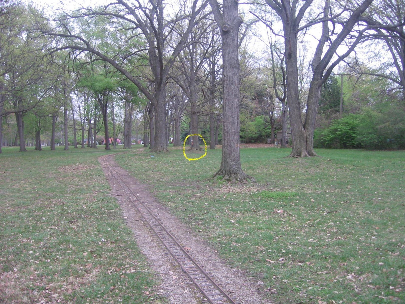 Hole 2 • StarrJaycee Park (Royal Oak, MI) Disc Golf