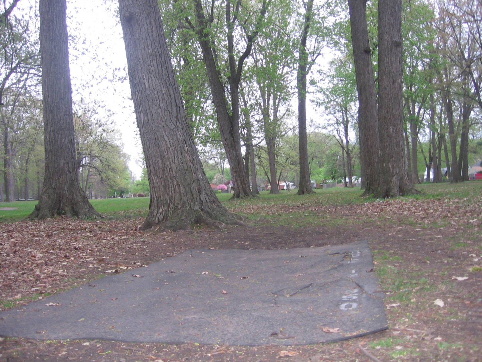 Hole 12 • StarrJaycee Park (Royal Oak, MI) Disc Golf