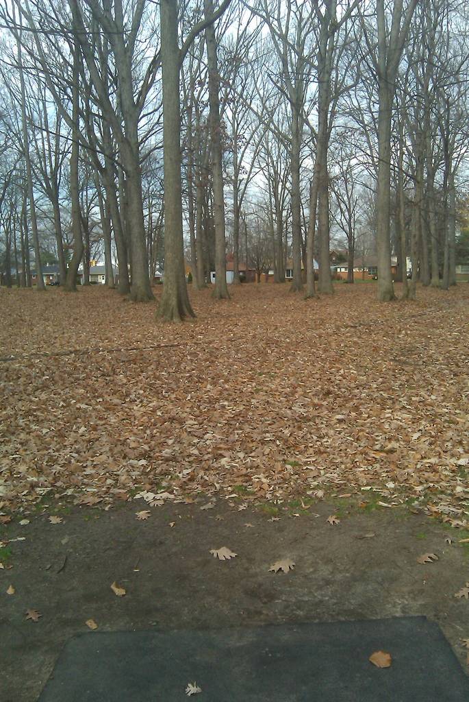 Hole 5 • StarrJaycee Park (Royal Oak, MI) Disc Golf