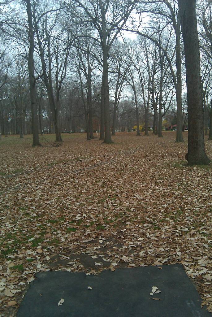 Hole 3 • StarrJaycee Park (Royal Oak, MI) Disc Golf