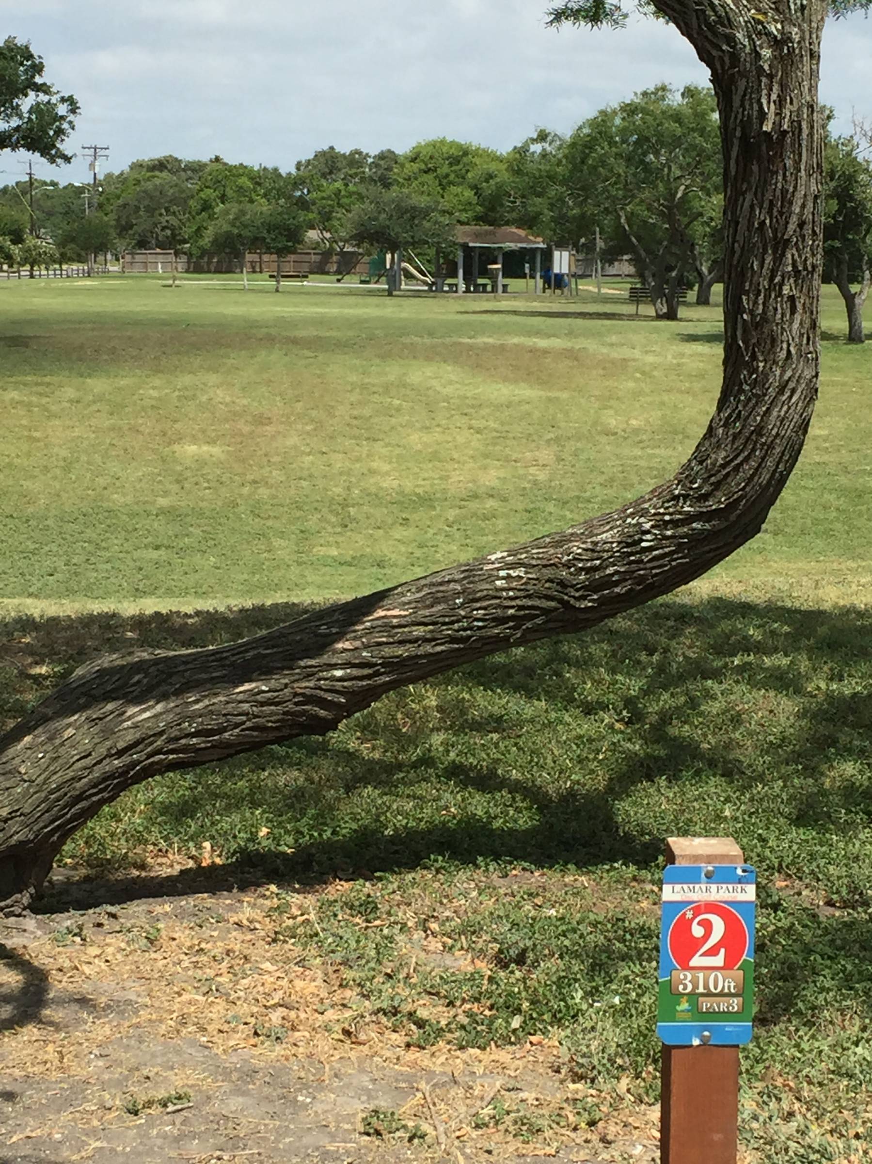 Hole 2 • Lamar Park (Corpus Christi, TX) Disc Golf Courses Disc