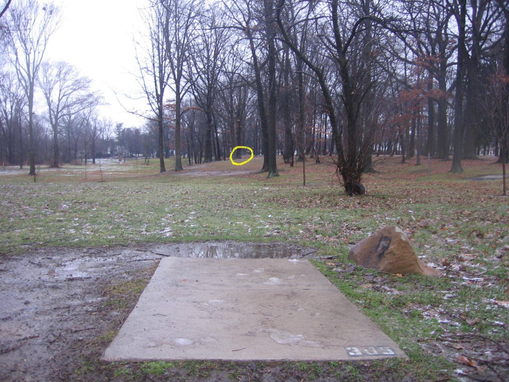 Hole 17 • Wagner Park (Royal Oak, MI) Disc Golf Courses