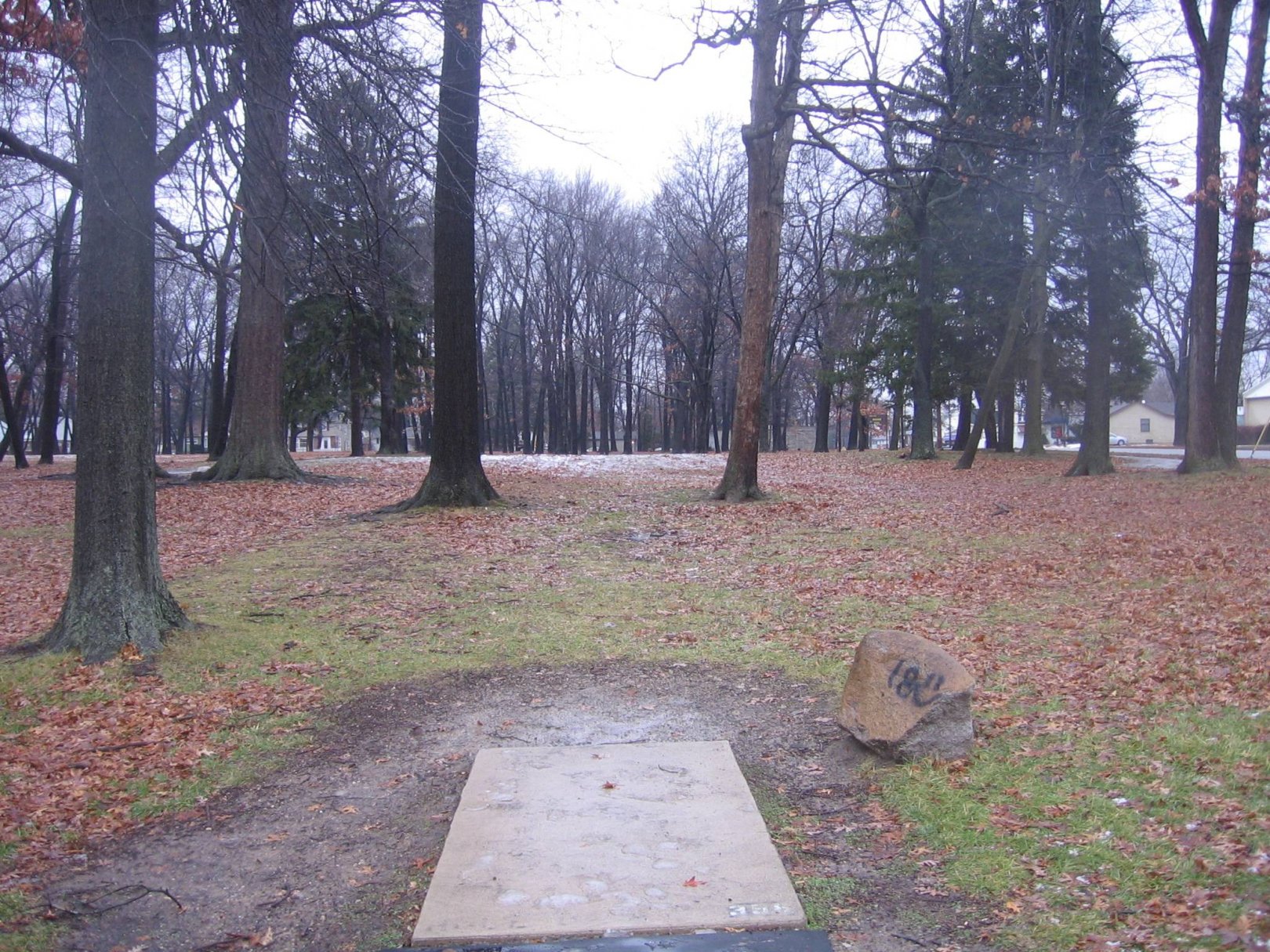 Hole 9 • Wagner Park (Royal Oak, MI) Disc Golf Courses