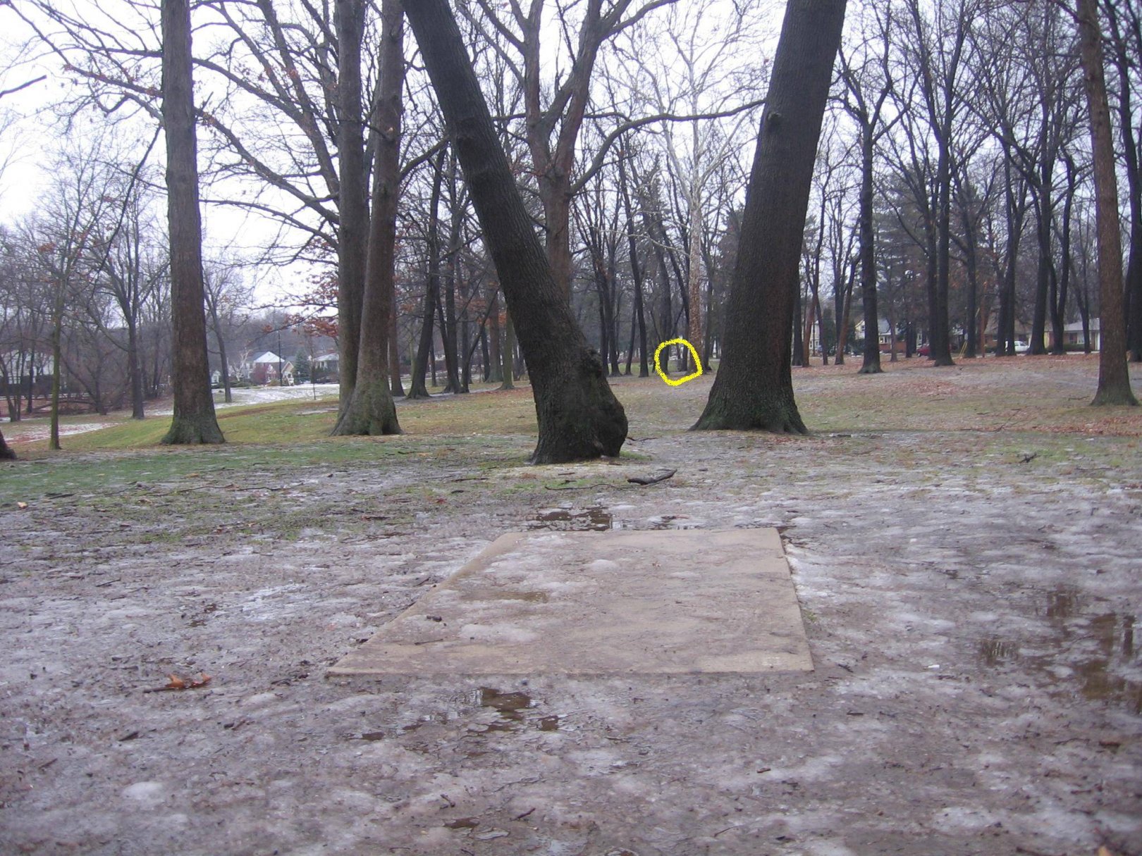 Hole 2 • Wagner Park (Royal Oak, MI) Disc Golf Courses
