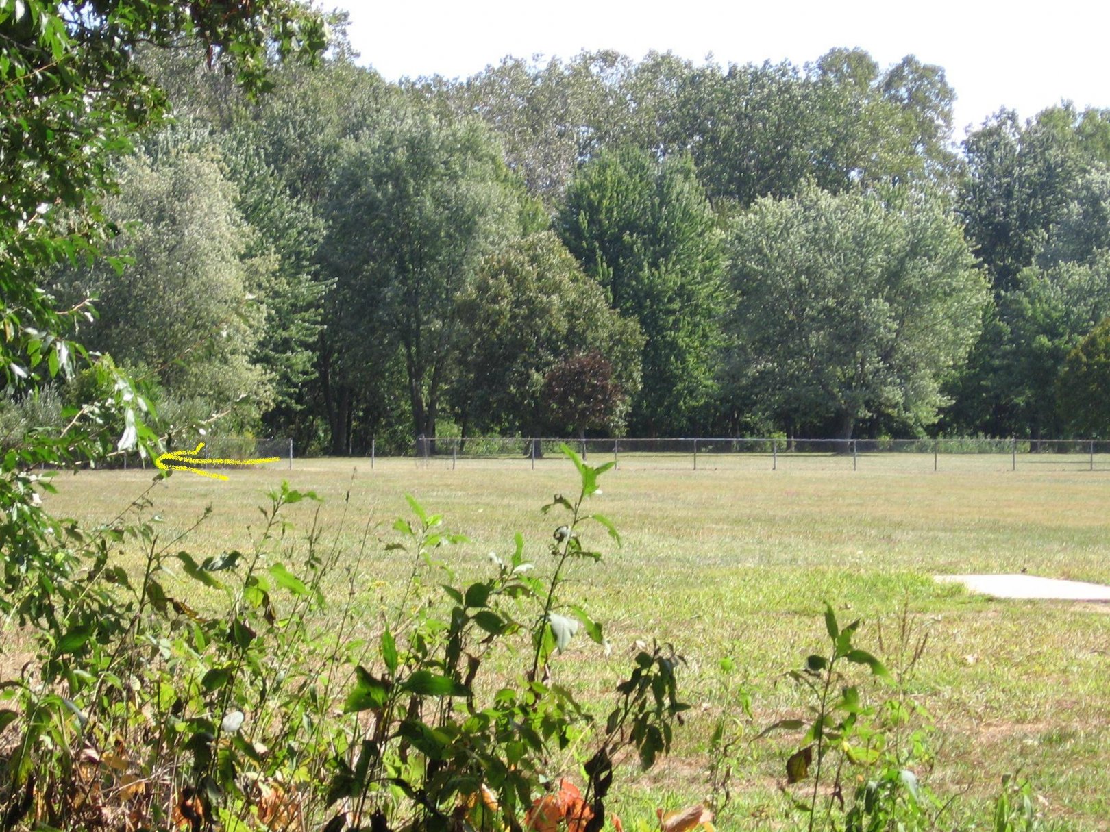 Hole 1 • Vienna Park (Temperance, MI) Disc Golf Courses Disc Golf Scene