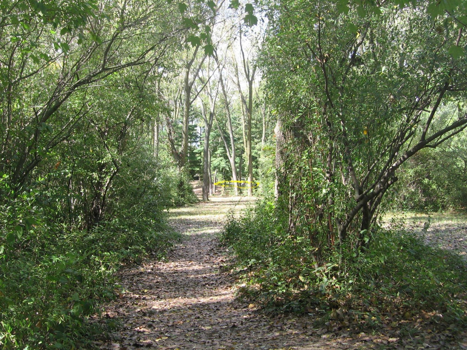 Hole 12 • Vienna Park (Temperance, MI) Disc Golf Courses Disc Golf