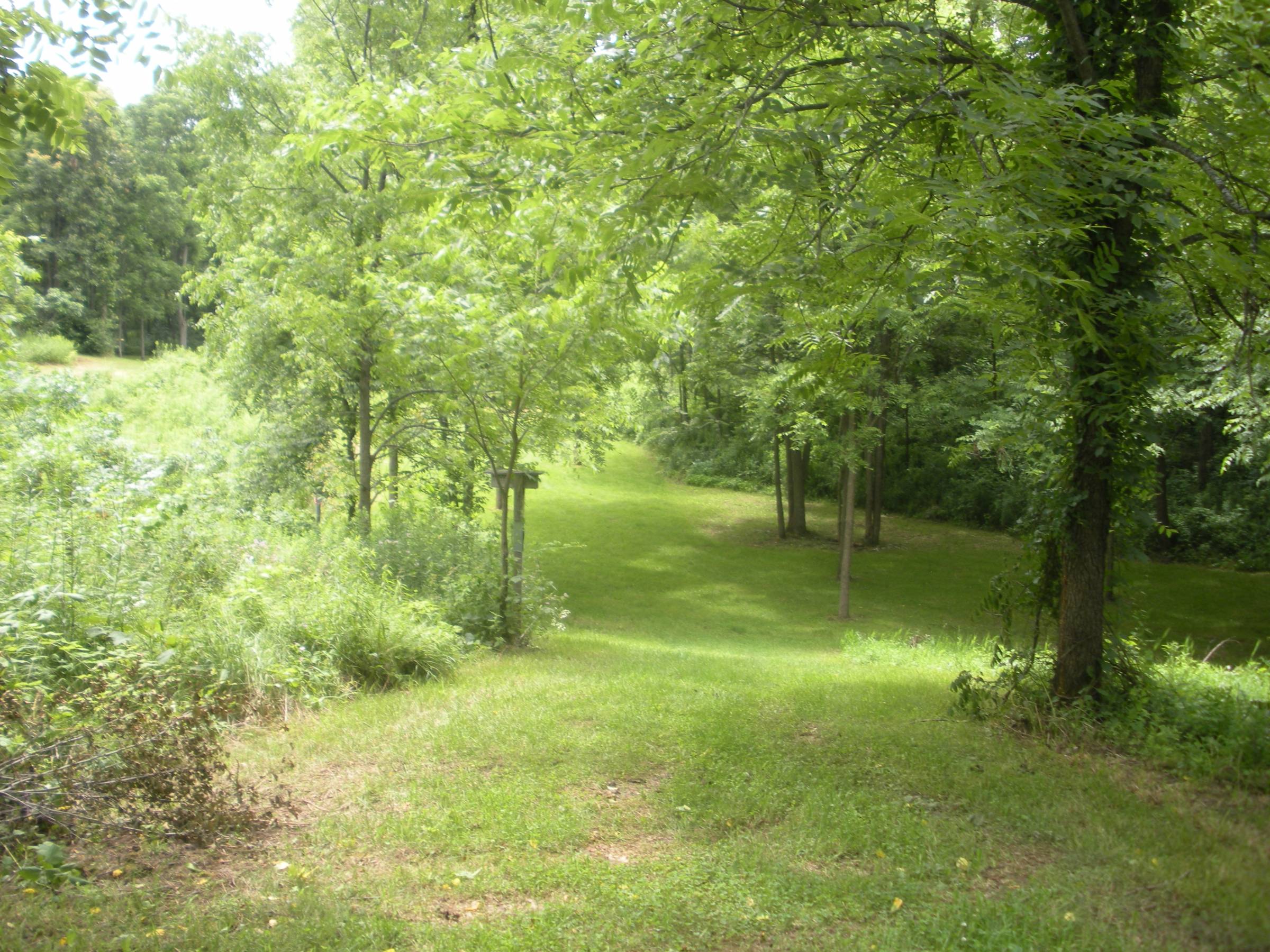 Hole 17 • Original course / Meyer Broadway Park (Three Rivers, MI
