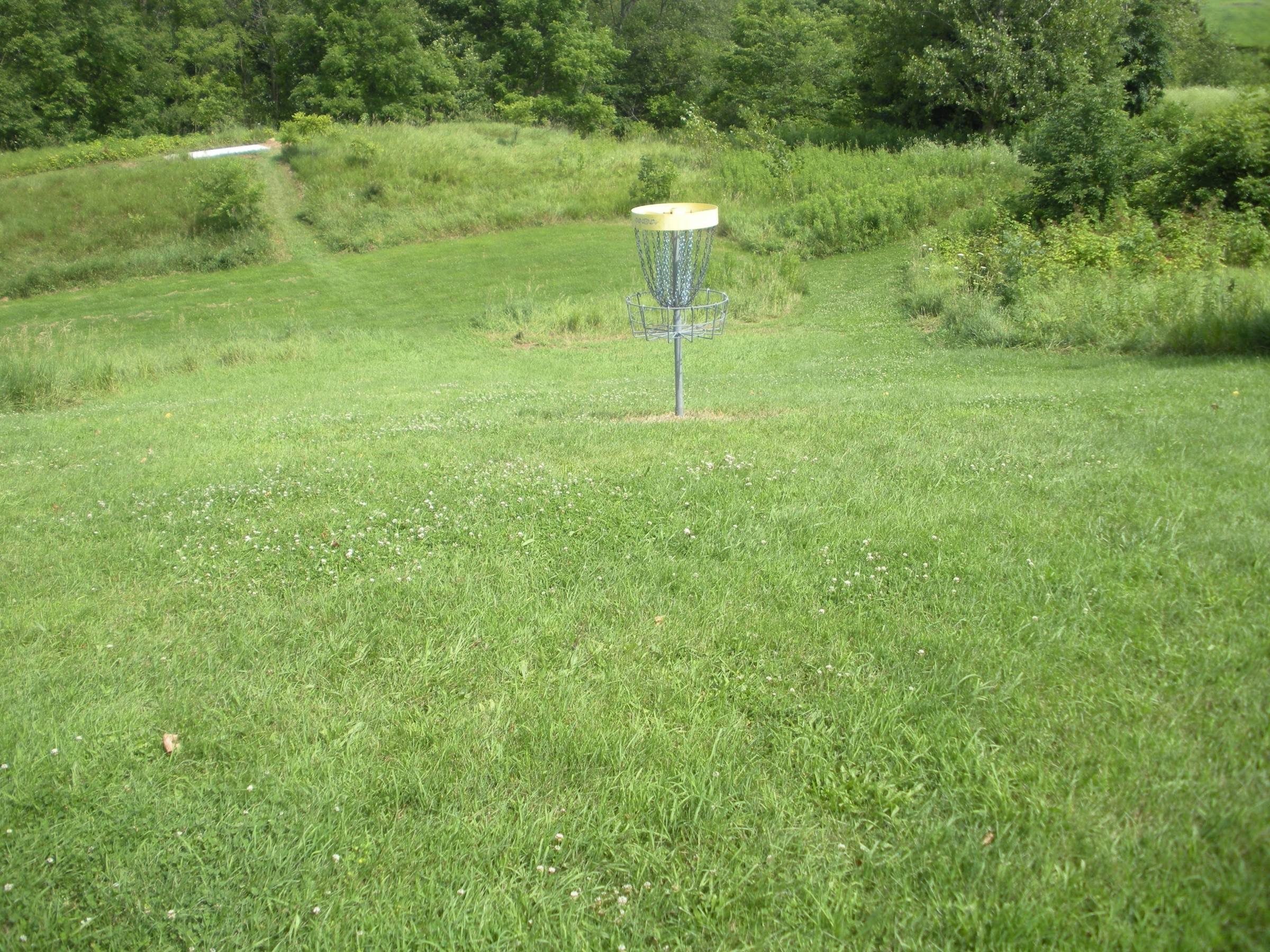 Hole 15 • Original course / Meyer Broadway Park (Three Rivers, MI