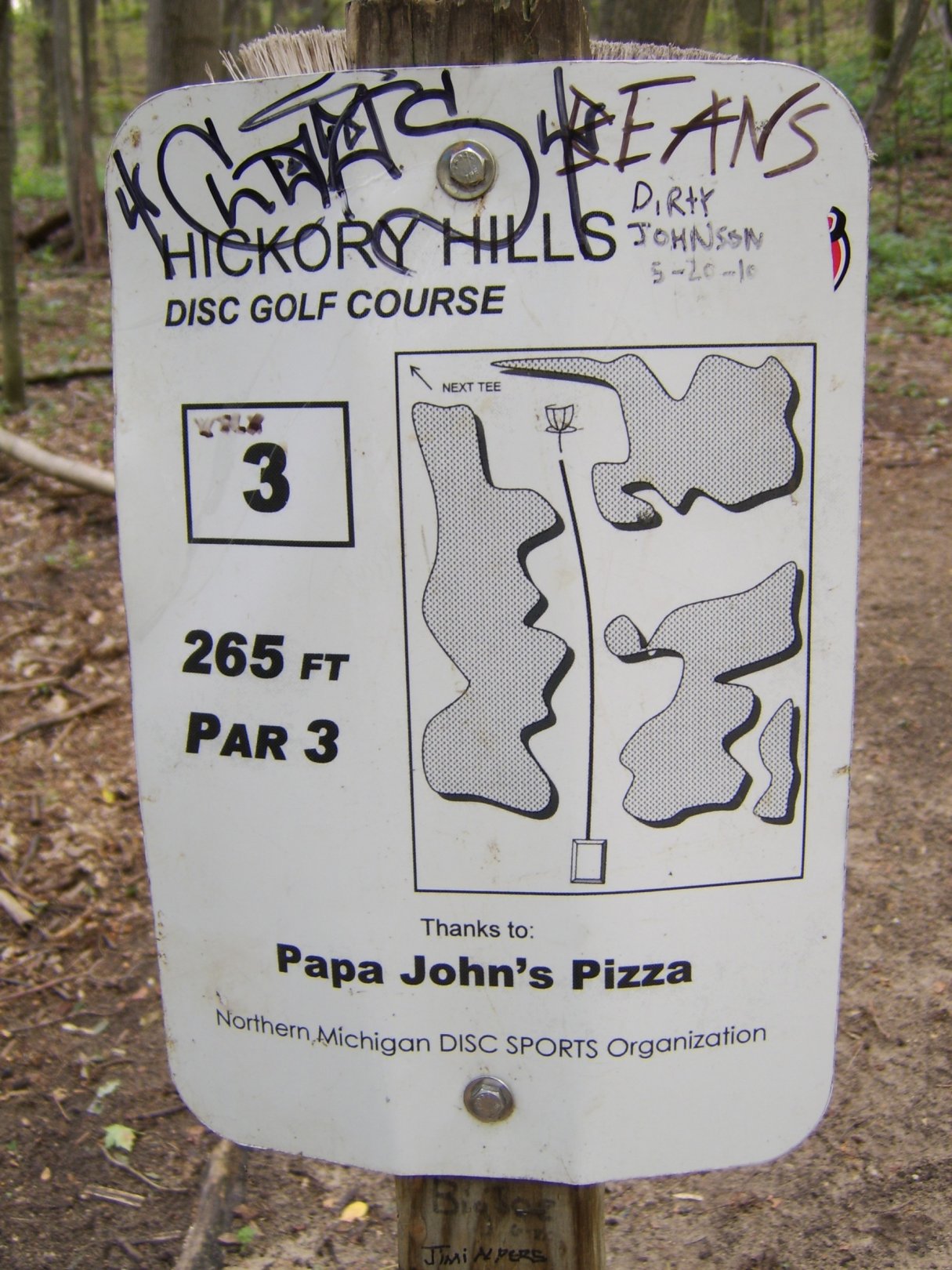 Hole 3 • Original / Hickory Hills (Traverse City, MI) Disc Golf
