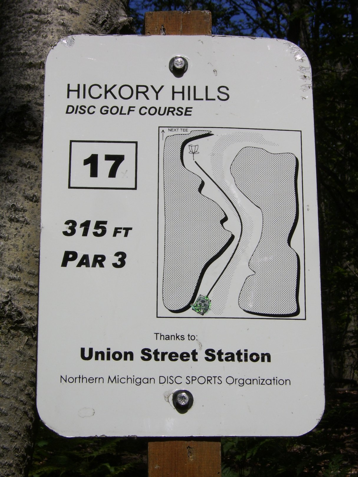 Hole 17 • Main course / Hickory Hills (Traverse City, MI) Disc Golf