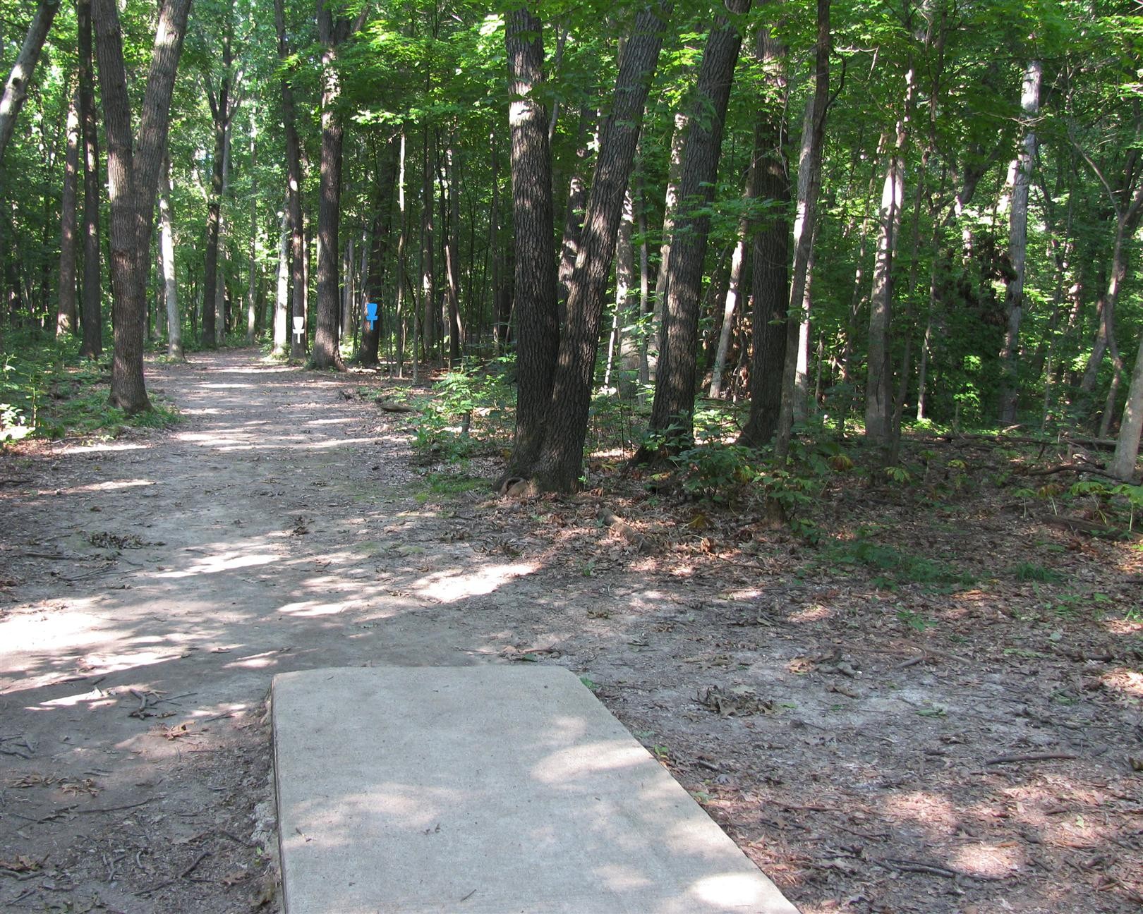 Hole 12 • Illinois Central College (East Peoria, IL) Disc Golf
