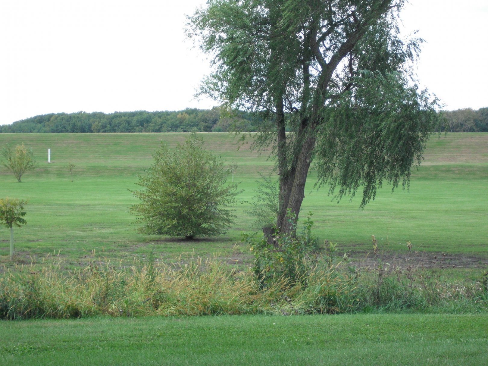 Hole 1 • Millcreek Park (Fulton, IL) Disc Golf Courses Disc Golf Scene
