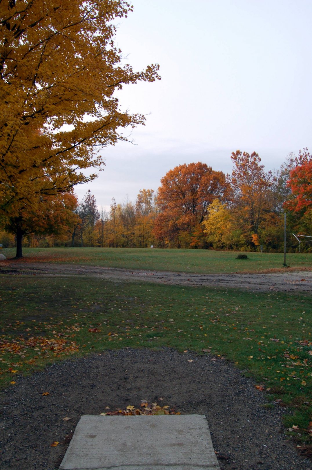 Hole 1 • River Bends (Utica, MI) Disc Golf Courses Disc Golf Scene
