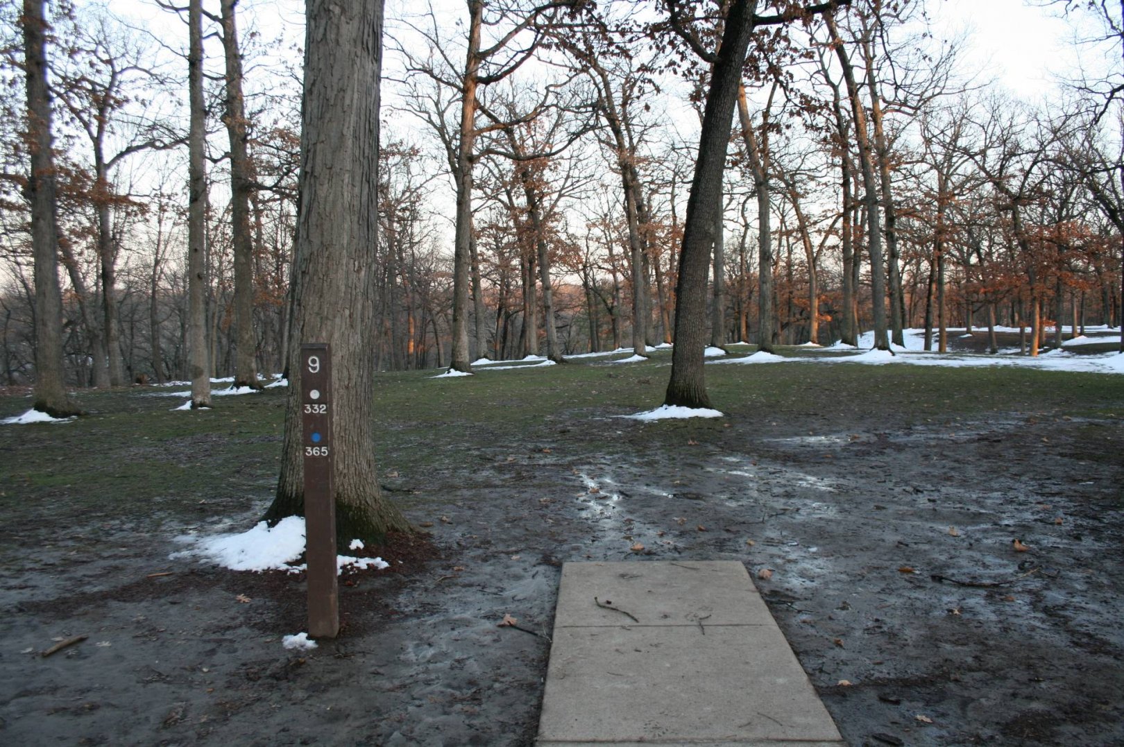 Hole 9 • Bradley Park (Peoria, IL) Disc Golf Courses Disc Golf Scene