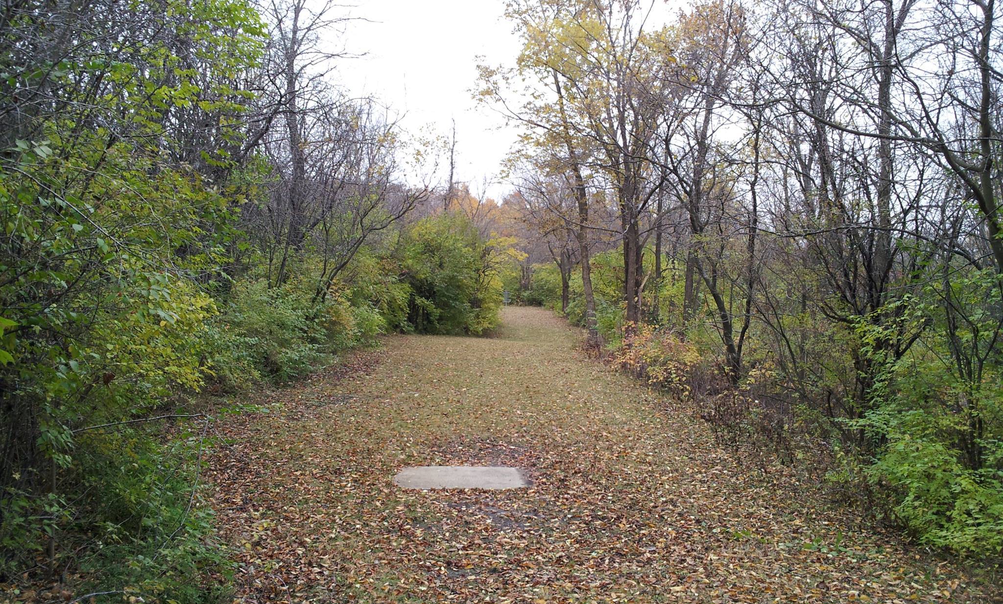 Hole 9 • Woodlands (Rockton, IL) Disc Golf Courses Disc Golf Scene