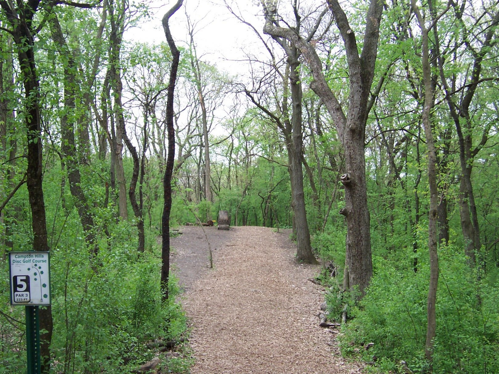 Hole 5 • Campton Hills (Saint Charles, IL) Disc Golf Courses Disc