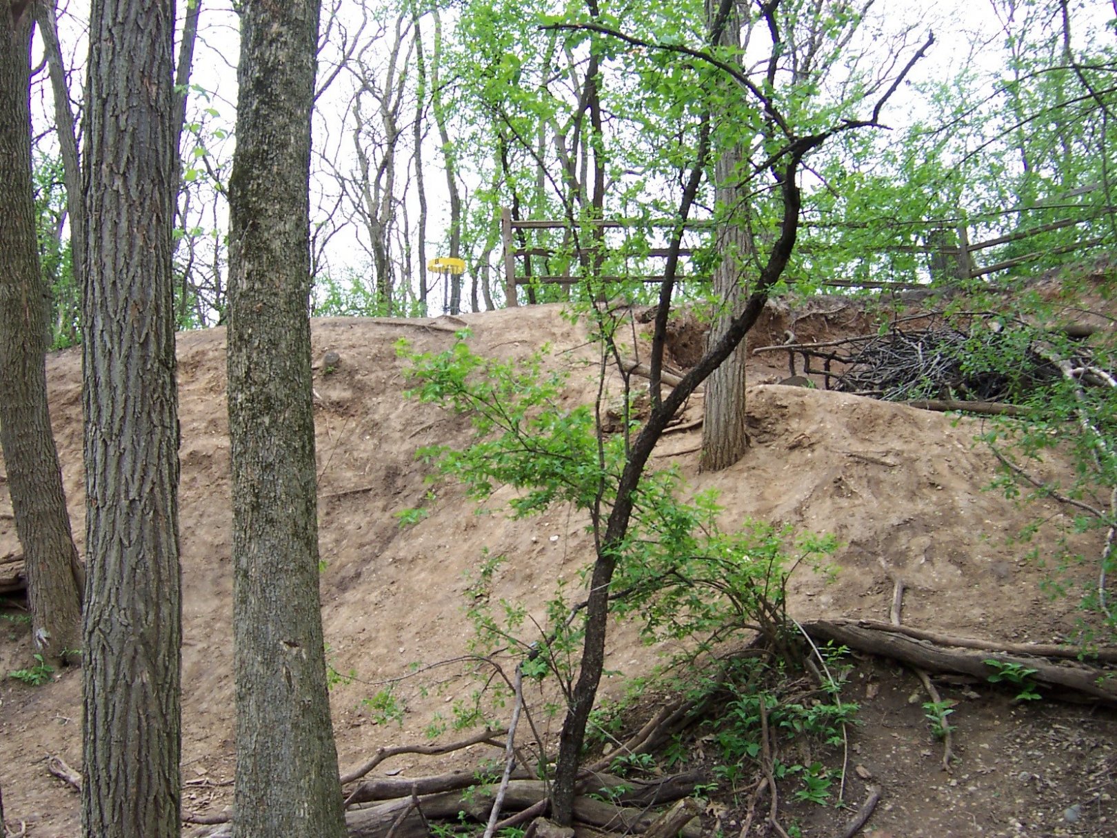 Hole 8 • Campton Hills (Saint Charles, IL) Disc Golf Courses Disc