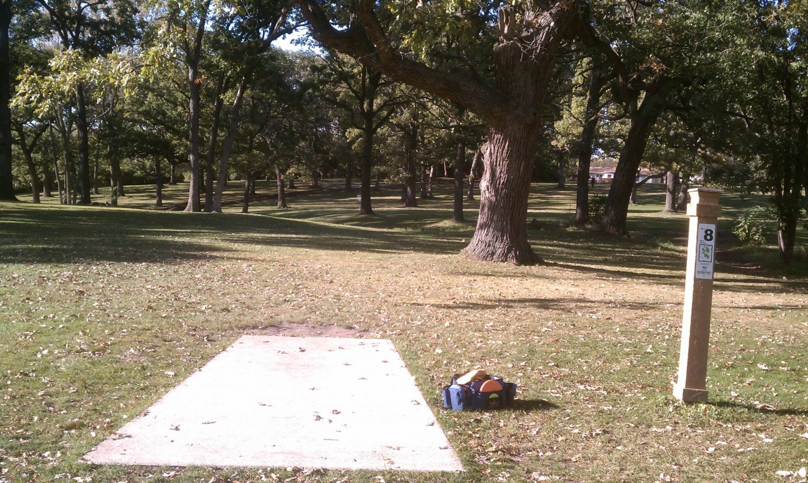 Hole 8 • Castaldo Park (Woodridge, IL) Disc Golf Courses Disc Golf