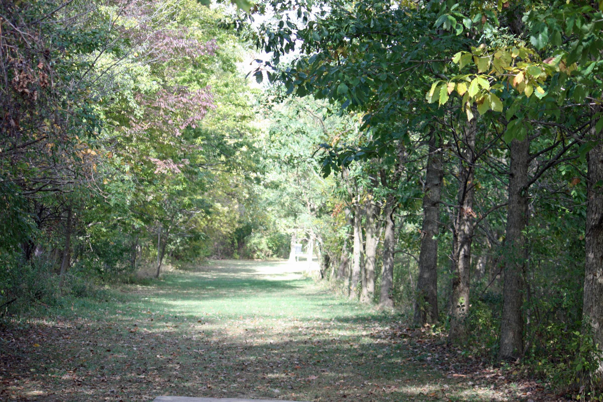 Hole 14 • Riverbend Disc Golf Trail (Findlay, OH) Disc Golf Courses