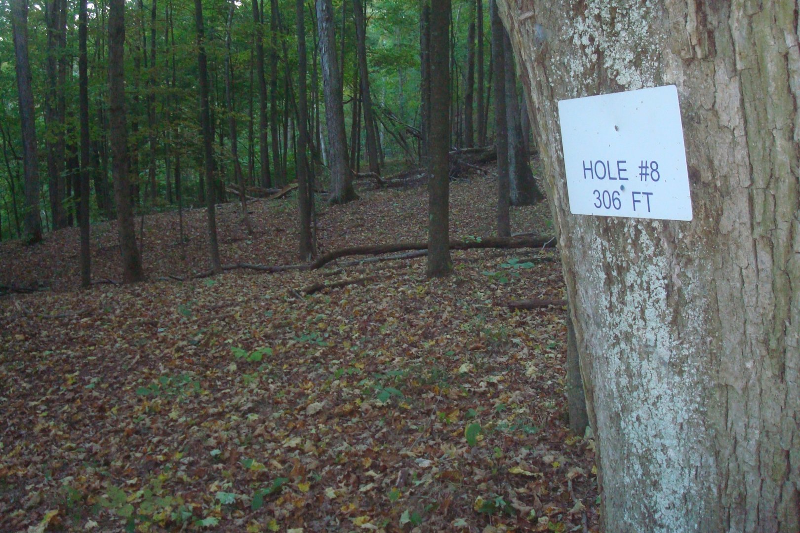 Hole U8 • Big Buckeye / Broughton Nature and Wildlife Education Area