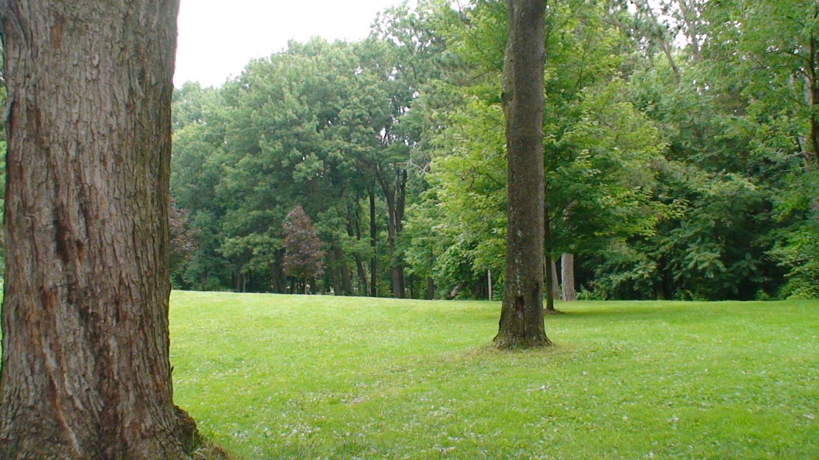 Hole 11 • Lincoln Park (Oak Ledges) (Massillon, OH) Disc Golf Courses