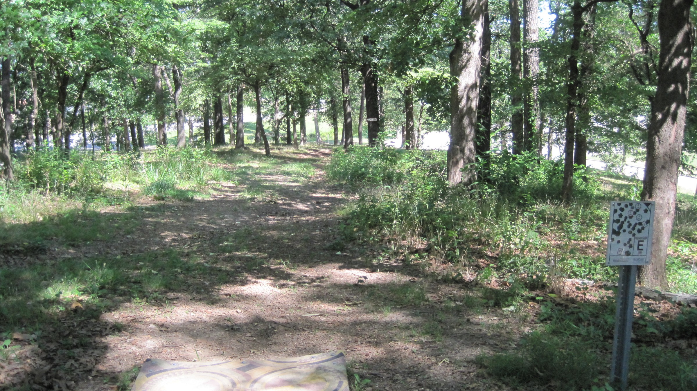 Hole 23 • Ward Park (Birmingham, AL) Disc Golf Courses Disc