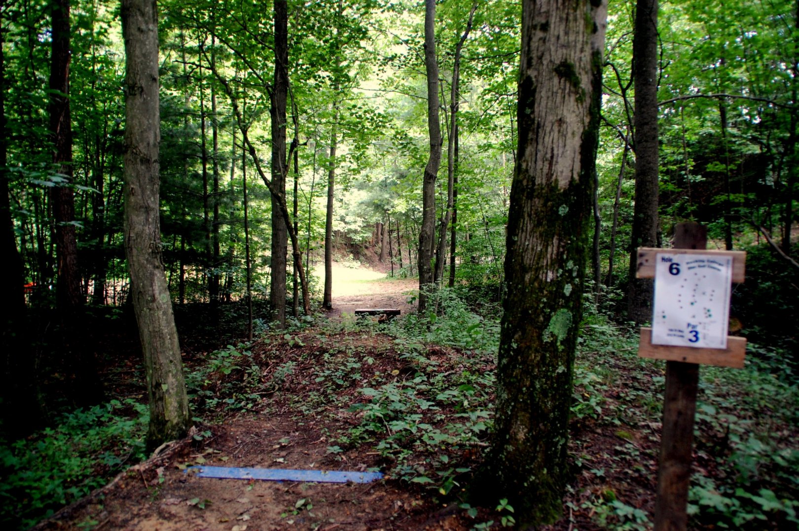 Hole 6 • Hocking College (Nelsonville, OH) Disc Golf Courses Disc
