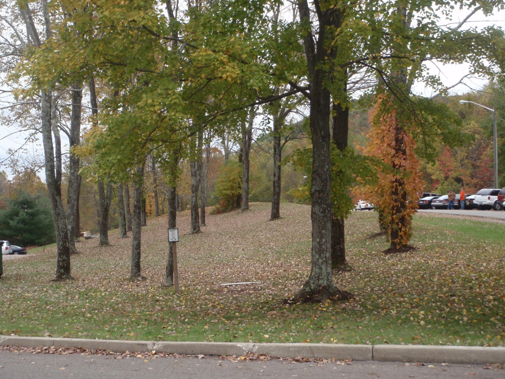 Hole 3 • Hocking College (Nelsonville, OH) Disc Golf Courses Disc