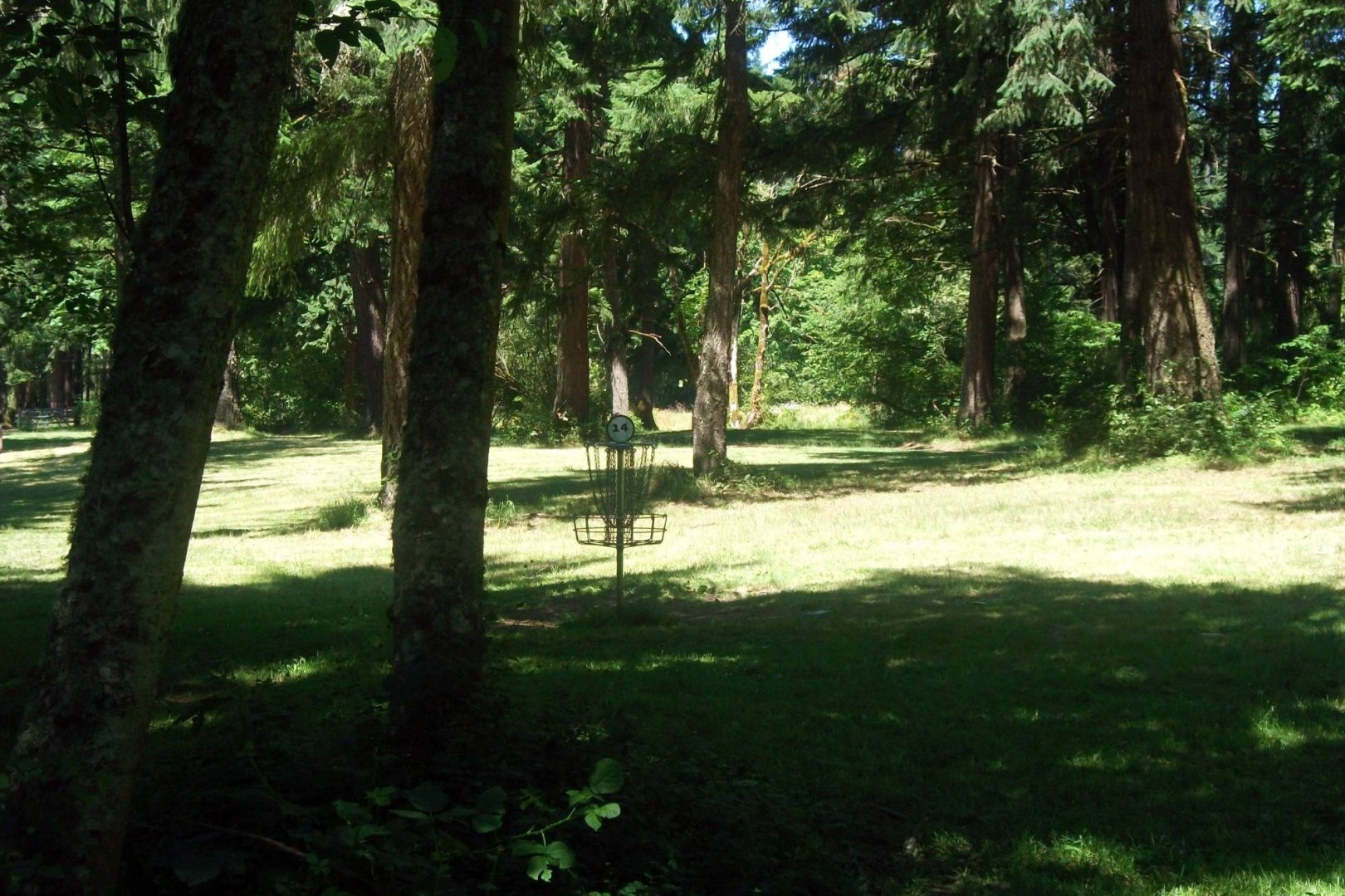 Hole 14 • Timber Park (Estacada, OR) Disc Golf Courses Disc Golf Scene