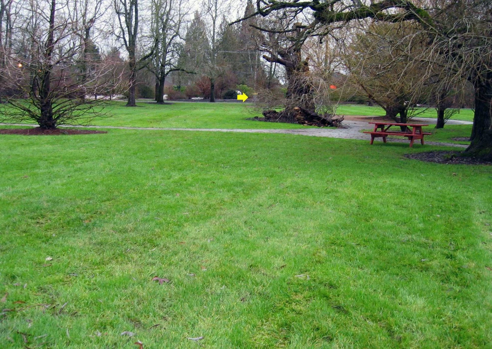 Hole 8 • McMenamins Grand Lodge (Forest Grove, OR) Disc Golf Courses