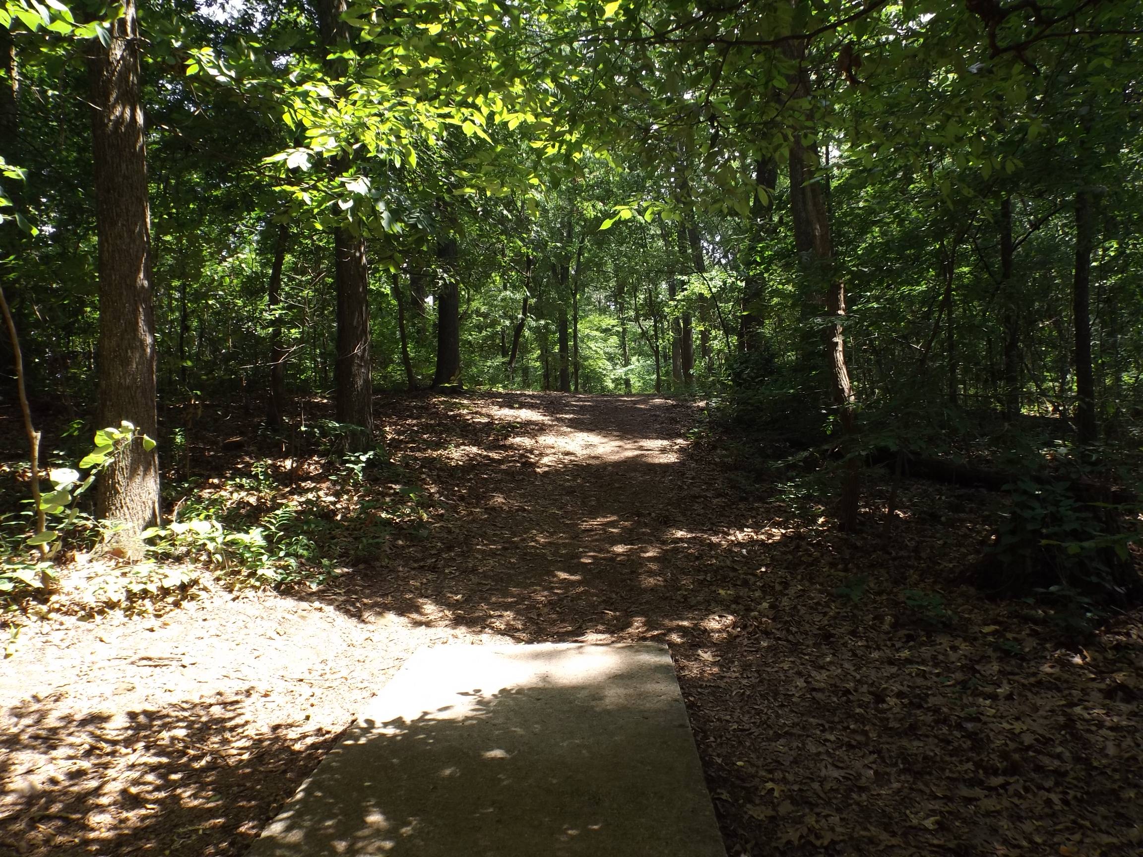Hole 8 • Mastin Lake (Huntsville, AL) Disc Golf Courses Disc Golf Scene