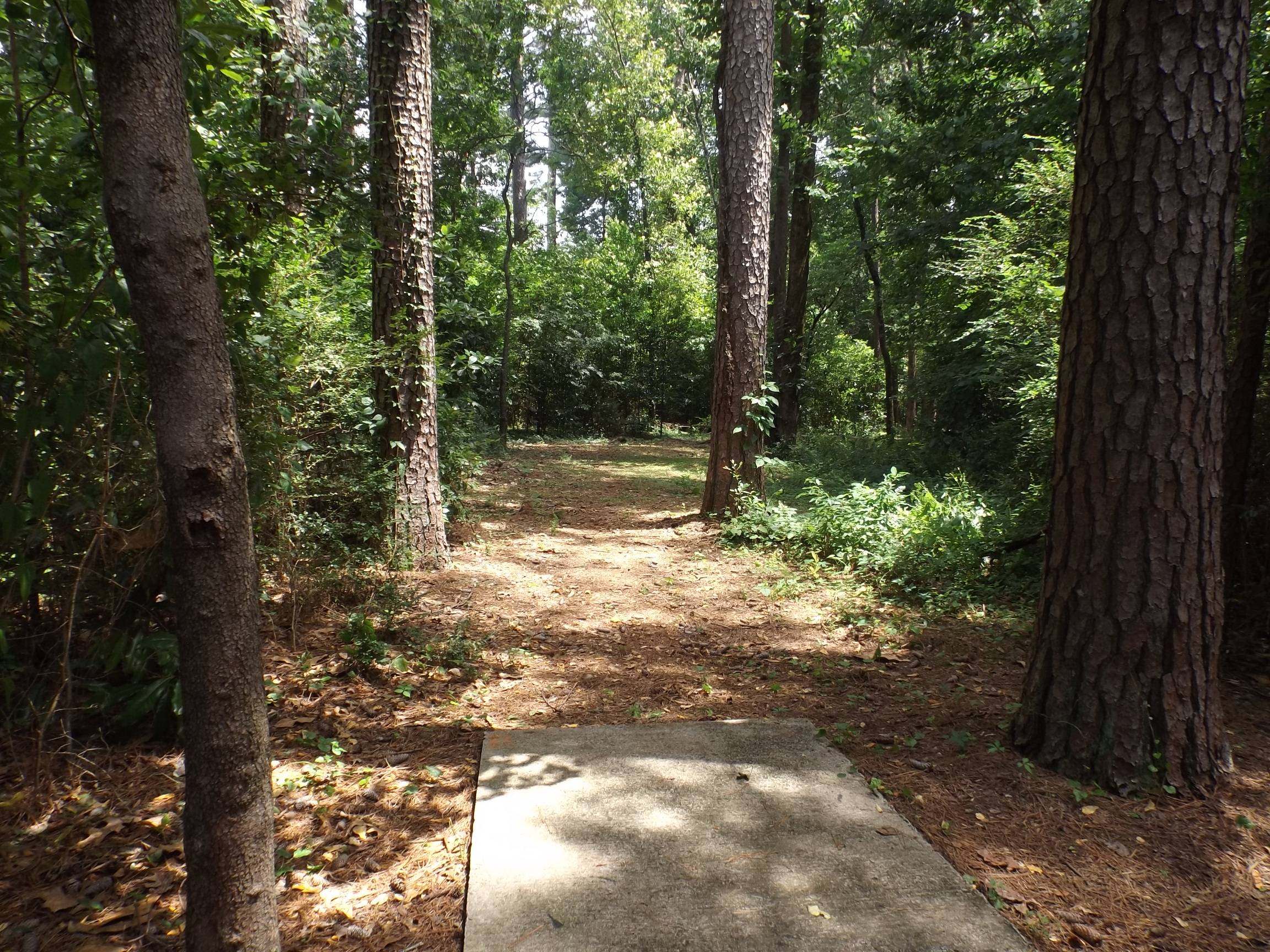 Hole 4 • Mastin Lake (Huntsville, AL) Disc Golf Courses Disc Golf Scene