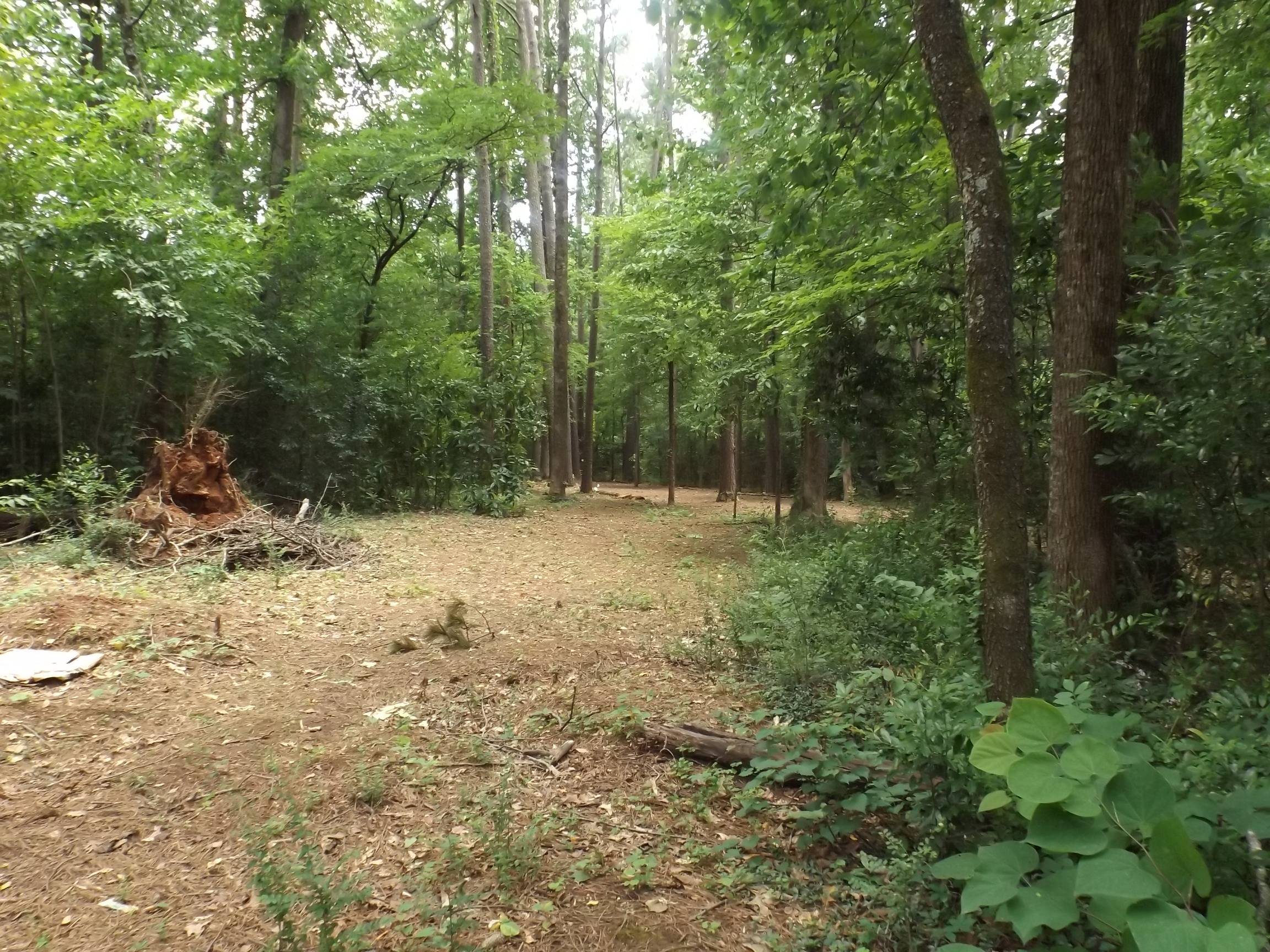 Hole 4 • Mastin Lake (Huntsville, AL) Disc Golf Courses Disc Golf Scene