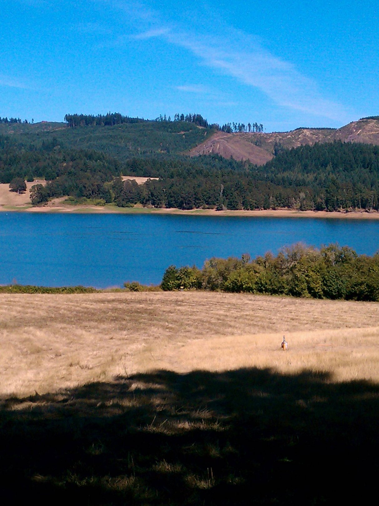 Hole 5 • Sain Scoggins (Forest Grove, OR) Disc Golf Courses Disc