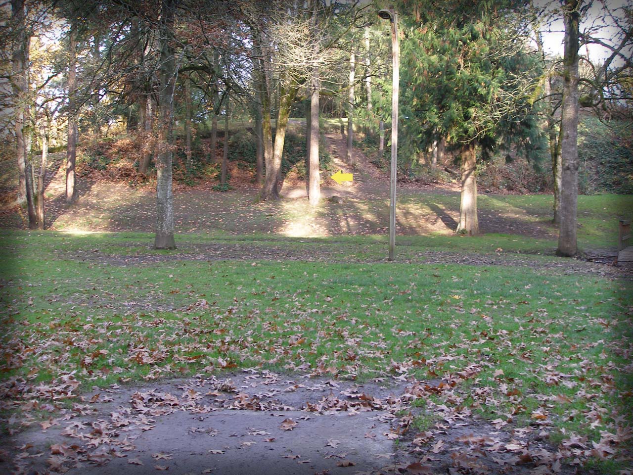 Hole 4 • Herbert Hoover Park (Newberg, OR) Disc Golf Courses Disc Golf Scene