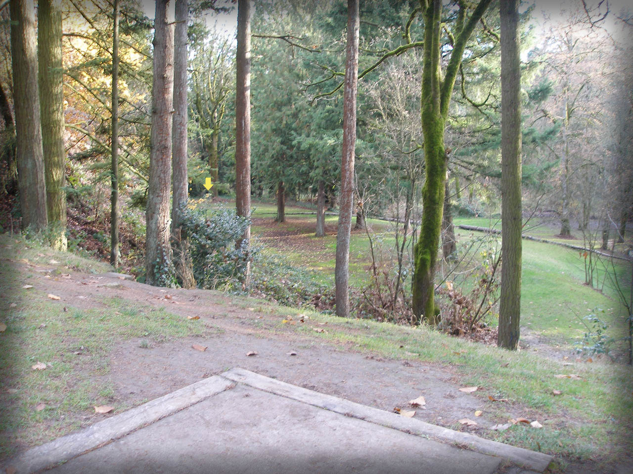 Hole 5 • Herbert Hoover Park (Newberg, OR) Disc Golf Courses Disc Golf Scene
